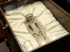 
      
      “No evidence” of UFO having extraterrestrial origins: NASA 
      
      