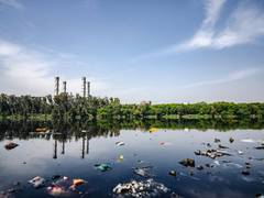 
      
      Microorganisms can create electricity from wastewater: Study
      
      