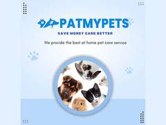 
      
      Patmypets: Transforming the Pet Care Industry in India
      
      