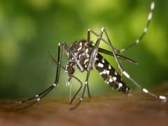 
      
      US: First death due to West Nile Virus reported in New Jersey
      
      