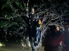 
      
      Gujarat floods: NDRF rescues senior citizen, 4 others 
      
      