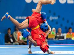 
      
      Asian Games: India's Wushu players finishes 5th, 6th 
      
      