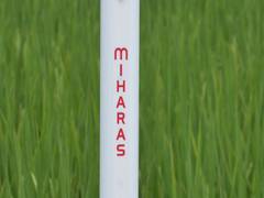 
      
      NTT Communications helps reduce CO2 in agriculture
      
      