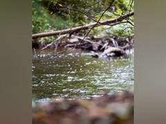 
      
      Microplastic sources and hidden sinks can be found in rivers
      
      