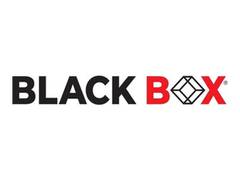 
      
      Black Box Cybersecurity Wins 17 New Marquee US Customers
      
      