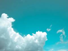 
      
      Researchers examine presence of microplastics in cloud water
      
      