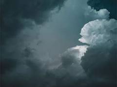 
      
      Arctic cloud ice formation is influenced by biological particles
      
      