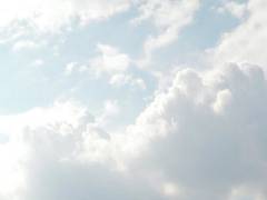 
      
      Researchers investigate occurrence of microplastics in cloud wate
      
      
