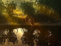 
      
      Coastal regions yield economic, biodiversity gains: Study
      
      