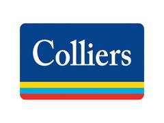 
      
      Colliers leads AI revolution in construction with remote monitori
      
      
