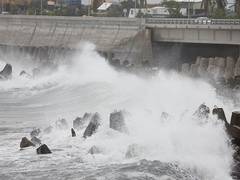 
      
      Typhoon Koinu pounds Taiwan with heavy rains, winds
      
      
