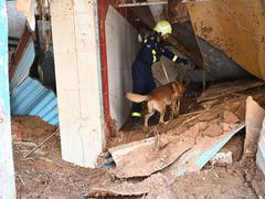
      
      UAE team locates 181 missing victims of Hurricane Daniel
      
      