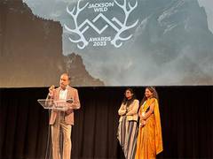 
      
      Roundglass Sustain Film Wings of Hope Wins at UN World Wildlife
      
      