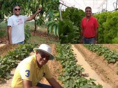 
      
      Cultivating Sustainability: Raj-Shree Farms and Its Synergy 
      
      