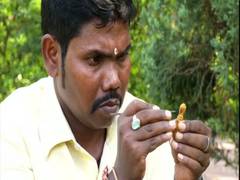 
      
      Odisha-based miniature artist craves smallest World Cup trophy on
      
      