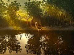 
      
      Coastal areas produce substantial economic, biodiversity gains
      
      