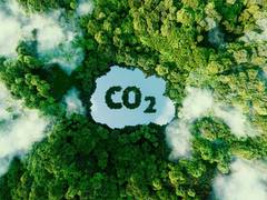 
      
      India’s New Market for 'Green Credits': A Promising Initiative
      
      