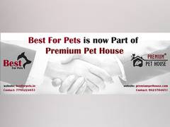 
      
      Premium Pet House Acquires BestForPets 
      
      