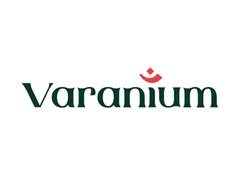 
      
      Varanium Cloud reports Standalone Net Profit of Rs. 96.25 crore
      
      
