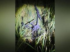 
      
      Punjab: BSF recovers Pakistani drone near Ferozepur border 
      
      