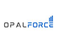 
      
      OpalForce Attains CMMI Level 5 Certification
      
      
