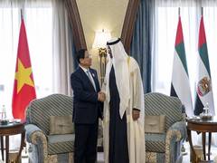 
      
      UAE President meets Vietnamese Prime Minister
      
      