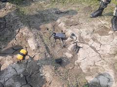 
      
      Punjab: BSF recovers Pakistani drone from Tarn Taran 
      
      