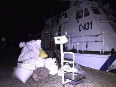 
      
      8 Sri Lankans, 4 Indians nabbed for smuggling sea cucumbers: ICG
      
      