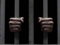 
      
      Uttarakhand police bust cattle slaughtering gang, four held
      
      