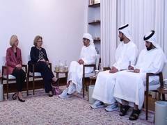 
      
      UAE FM discusses latest regional developments with US official
      
      