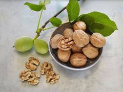 
      
      California Walnuts Arrives in India
      
      