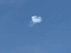 
      
      In a first, Arrow system intercepts missile from Red Sea
      
      