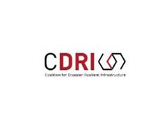 
      
      CDRI Awards 11 Projects in 13 SIDS across the Caribbean
      
      