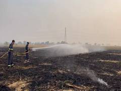 
      
      Fire Brigade, Agro Dept. extinguish fire set to stubble in Moga
      
      