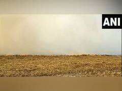 
      
      SC asking Punjab to stop stubble burning sparks political debate
      
      