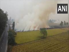 
      
      Stubble burning continues in Punjab's Patiala 
      
      