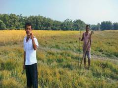 
      
      Assam: Seasonal solar fence installed to protect paddy 
      
      