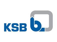 
      
      KSB Limited registers 31 per cent growth in the third quarter
      
      