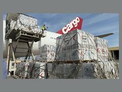 
      
      UAE dispatches 100 tonnes of food, medical supplies to Gaza
      
      