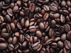 
      
      Coffee grounds can aid in the prevention of neurological problems
      
      