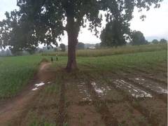
      
      Gujarat: Death toll rises to 27 amid unseasonal rainfall
      
      