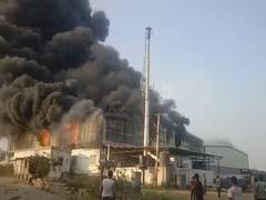 
      
      Fire breaks out at thermocol company in Telangana's Rangareddy
      
      