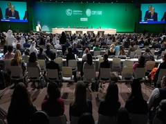 
      
      UAE: COP 28 to offer 1.5°C-aligned menus
      
      