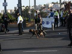 
      
      Man who shot Jerusalem 'terrorist' dies of injuries
      
      