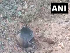 
      
      Chhattisgarh: Two CRPF soldiers injured in IED blast in Dantewada
      
      