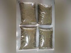 
      
      NCB seizes 6.9 kgs of illegal Khat leaves, Yemeni national held
      
      