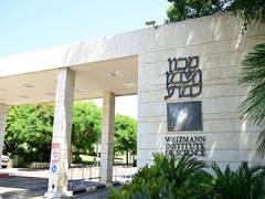 
      
      Israeli research opens door to reversing effects of early trauma
      
      