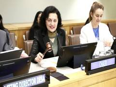 
      
      Ruchira Kamboj chairs briefing ahead of 62nd UN Commission
      
      