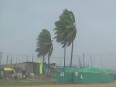 
      
      Mandal-level rapid action teams deployed to mitigate storm impact
      
      