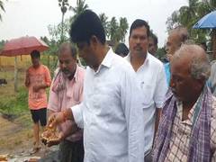 
      
      AP: Govt will purchase every grain, says YSR MLA
      
      